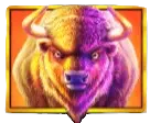 Buffalo premium symbol